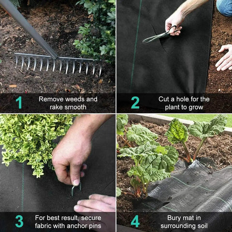 Heavy Duty 4Ft X 100Ft Weed Barrier Landscape Fabric Rolls For Gardens And Yards Beefy Grade Polypropylene Ground Cover laid for planting.