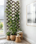 Thick 0.35 Inch Cedar Garden Trellis 13x68 Inch For Climbing Plants Ivy Vine Rose Clematis Outdoor Fence Wall Patio Decor