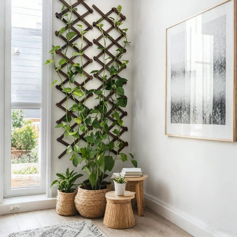 Thick 0.35 Inch Cedar Garden Trellis 13x68 Inch For Climbing Plants Ivy Vine Rose Clematis Outdoor Fence Wall Patio Decor
