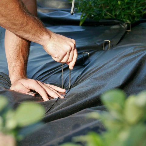 Securing black weed barrier fabric with 6 inch galvanized landscape staples from 100 Pack 6 Inch Garden Stakes Galvanized Landscape Staples For Weed Barrier Fabric Heavy Duty Sod Pins Securing Pegs Ground Sheets Netting And Irrigation Tubing.