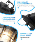 Ultra Durable Dusk To Dawn Outdoor Wall Light In Black Finish With Seeded Glass Shade IP65 Waterproof features