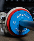 Close-up of barbell with fractional weight plates set for incremental gains on standard 2 inch Olympic bars, 10 lb pair.