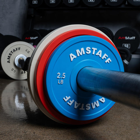Close-up of barbell with fractional weight plates set for incremental gains on standard 2 inch Olympic bars, 10 lb pair.