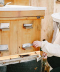 Beekeeper installing Four Pack Wood Beehive Entrance Reducers for Ten Frame Beehives on a wooden hive.
