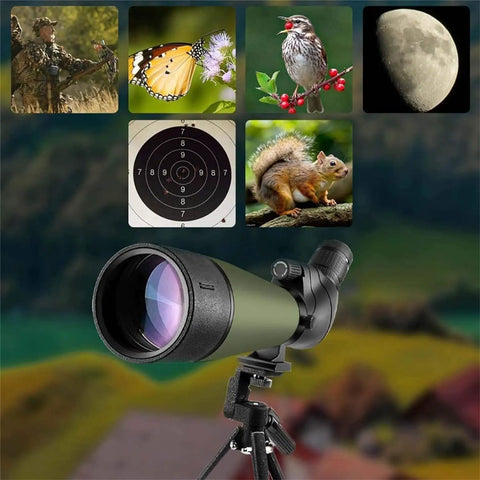 Go To 20 To 60x80 HD Spotting Scope With Tripod And Carrying Case For Bird Watching Hunting Target Shooting Wildlife Scenery