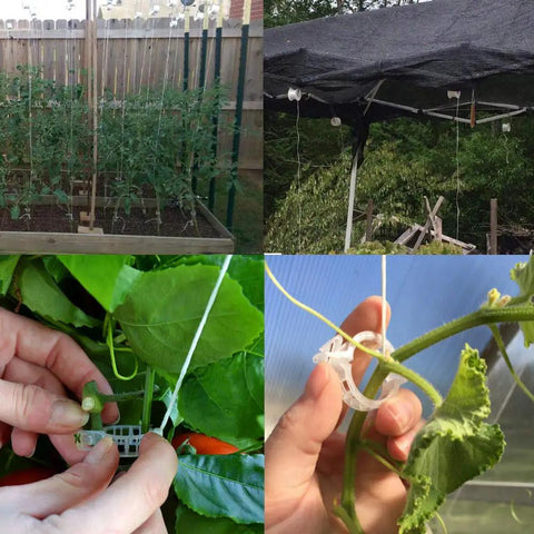 Garden Trellis Kit With 10 Roller Hooks And 100 Tomato Clips For Plants Tomatoes Vines And Flowers In Greenhouses Or Outdoor Beds, Super Sturdy Plant Support System For Quick No Fuss Growth