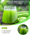 Turn Your Stand Mixer Into A Juicer With A Masticating Slow Juicer Attachment For All Models, green juice close-up