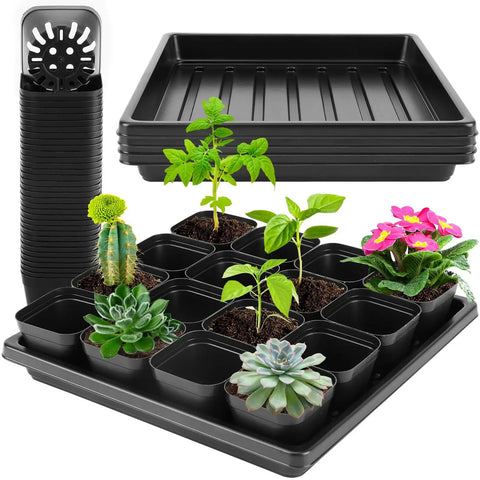 Three Tray Seedling System With Fifty Easy Remove Nursery Pots, Thick Durable 10.6 X 10.6 Inch Seed Starting Trays for Propagation