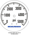 Pro Grade Pressure Washer Gauge Kit dial showing 0-5000 PSI range for precise pressure tracking