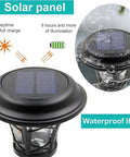 Close-up of Eight Pack 25 Lumen Solar Powered Pathway Lights with waterproof IP44 solar panel and LED feature in use.