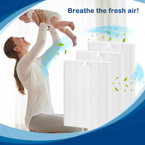 Mother holding baby with 114190 True HEPA Replacement Filter B 3 Pack for Air Purifiers in background.