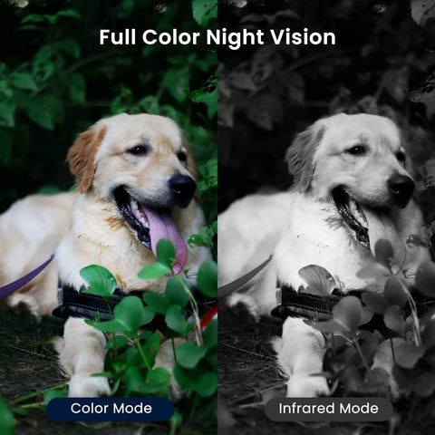 2K Light Bulb Security Camera Wireless Outdoor Bulb Cam For Home Security showing full color night vision with a dog.