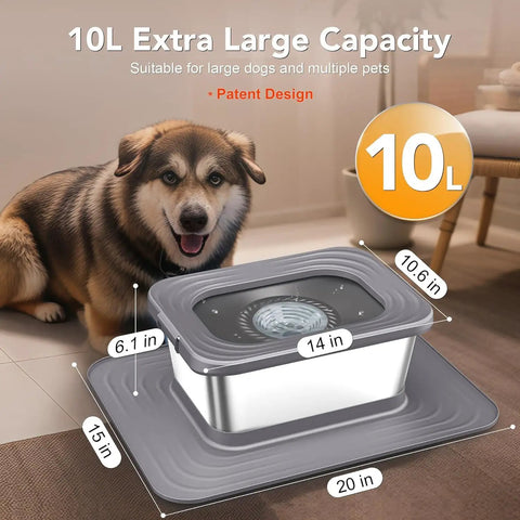 Stainless Steel Dog Water Bowl Filter Kit With 5 Replacement Filters for 10L square bowl next to dog, showing measurements.