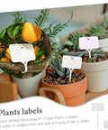 White T-type plant labels in pots, part of Mini Seed Spreader Kit For Easy Garden Sowing, Reusable Tiny Seed Planter set.