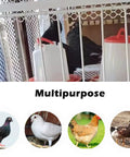 Beefy Steel Frame Loft Pigeon Trap Door Rust Resistant Bird Cage Entrance For Racing Pigeons shown in multipurpose setting