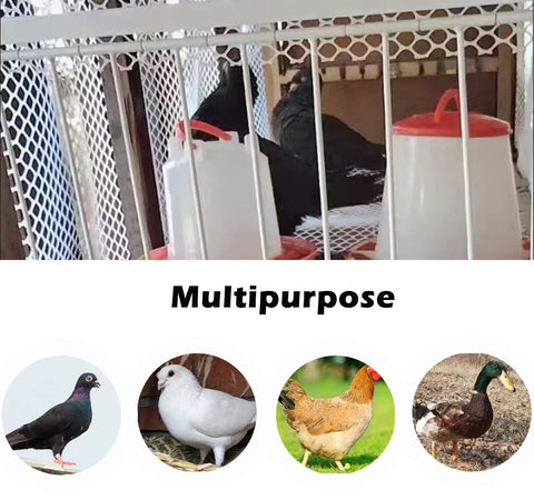 Beefy Steel Frame Loft Pigeon Trap Door Rust Resistant Bird Cage Entrance For Racing Pigeons shown in multipurpose setting