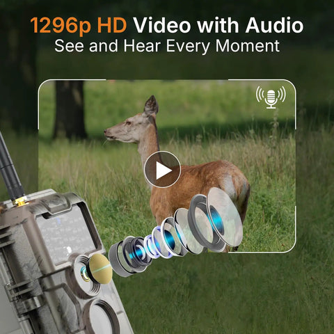 E6 WiFi Trail Camera Non Cellular With External Antenna Stable WiFi On Site App Viewing Grab And Go 64MP 1296P HD No Glow Night Vision Motion Activated Waterproof Game Camera For Outdoor Wildlife Monitoring capturing a deer.