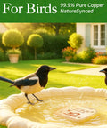 Copper Disk Bird Bath Purifier For Clean Water All Season in a garden bird bath with birds; 99.9 Percent Pure Copper Water Disk displayed