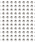 Stainless Steel Crimp Bead Covers 6x5x3mm Half Round Clamp Tips Pro Grade Knot Covers For Jewelry Making, 200 Pieces displayed.