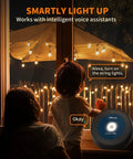 Lit Smart Outdoor String Lights For Patio 100 Ft Dimmable WiFi Lights With 50 G40 LED Bulbs, voice control with Alexa.