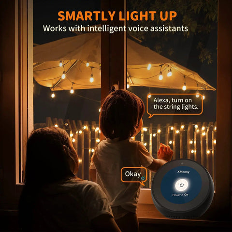 Lit Smart Outdoor String Lights For Patio 100 Ft Dimmable WiFi Lights With 50 G40 LED Bulbs, voice control with Alexa.