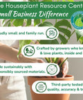 The Houseplant Resource Center highlights small business strengths and plant care with sustainable and tested practices.