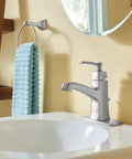 Spot Resistant Brushed Nickel One Handle Bathroom Faucet With Drain Assembly Flexible Install for Centerset Setup on sink
