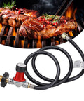 adjustable propane regulator 0-30 PSI with 48 inch hose for grilling