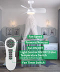 Dope 28 Inch Ceiling Fan With Lights And Remote Energy Efficient DC Silent Motor Indoor Outdoor Use Matte White Finish