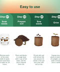 Four-step guide for Five Pack Bonsai Tree Kit With Full Tools And Seed Packets Indoor Starter Kit In Wooden Box Easy Grow For Beginners