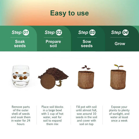 Four-step guide for Five Pack Bonsai Tree Kit With Full Tools And Seed Packets Indoor Starter Kit In Wooden Box Easy Grow For Beginners