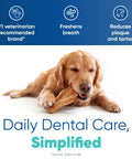 Dog enjoying beefhide chew, promoting dog dental chews for small pups, enzymatic formula for plaque and tartar control