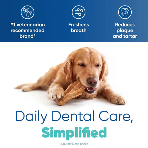 Dog enjoying beefhide chew, promoting dog dental chews for small pups, enzymatic formula for plaque and tartar control