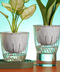 Self Watering Hydroponic Plant Pot With Visual Water Level and Perforated Design, Lightweight Durable PP PET Planter For Herbs And Veggies, Perfect For Aquaponics Growing System And Indoor Gardens.