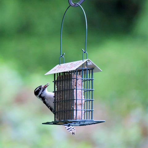 Rustic Black Metal Suet Cage Feeder For Outdoor Bird Watching, Hanging Bird Feeder With One Suet Cake Capacity in garden setting