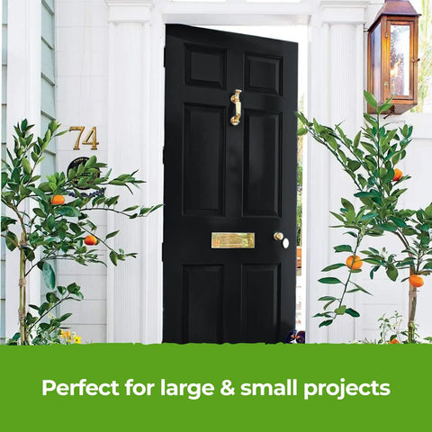 All In One Paint And Primer Black Matte 8.5 Fl Oz Sample One Coat Formula on black front door with brass hardware