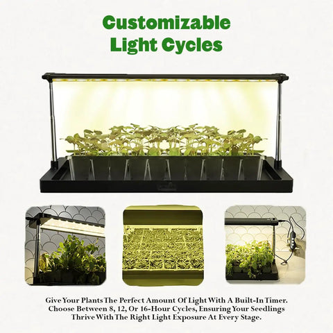 Seed Starting Grow Light Kit With Full Spectrum LEDs Adjustable Height Integrated Tray And Timer For Indoor Seedlings
