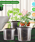 Clear nursery pots set in 5 inch 4 inch and 3.5 inch sizes with drainage holes for easy transplanting seedlings and cuttings