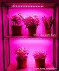 4 Strip Grow Light Kit 36W With Timer For Indoor Plants illuminating potted plants on shelves with pink LED light