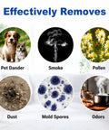 Image depicting HEPA Replacement Filter And Carbon Pre Filters For Holmes And Bionaire Vacuums benefits: removes pet dander, smoke, pollen, dust, mold spores, odors.