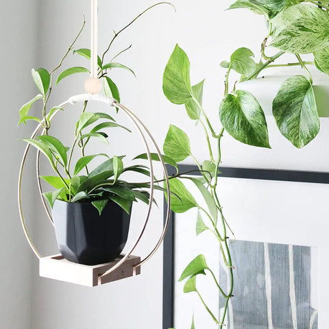 Golden Macrame Hanging Planter For Indoor Outdoor Plants With Wood Stand, lightweight iron rings, minimal design hung by window