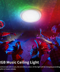 Smart LED Ceiling Light Flush Mount With WiFi Voice Controlled 35W 12 Inch Color Changing RGB Dimmable Sleek Low Profile
