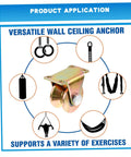 Versatile wall ceiling anchor for exercise equipment, shown with various applications like rings, punching bag, and hammocks.