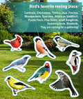 Illustration of various birds including cardinals, woodpeckers, and sparrows in a garden setting