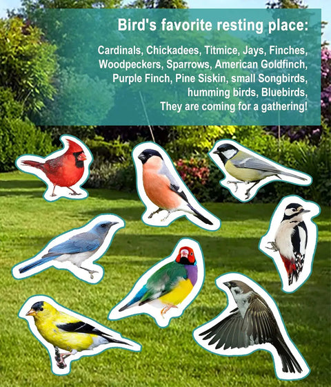 Illustration of various birds including cardinals, woodpeckers, and sparrows in a garden setting
