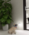 Pug sitting by Ultra Bright Plug In Motion Sensor Night Light With Stepless Dimming, Always On And Auto Off, Energy Saving LED Nightlight