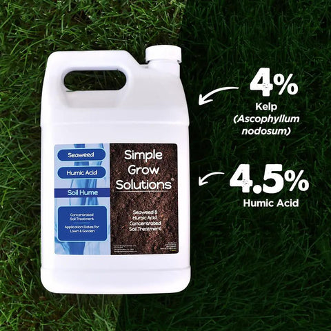 Liquid Sea Kelp And Humic Acid Blend For Grass And Plants That Boosts Your Lawn Game Seaweed Rich Soil Conditioner 1 Gal