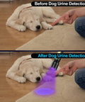 Rechargeable UV Black Light Flashlight 2 Pack 3 In 1 Ultra Bright Pocket Lights With 1200 Lumens Magnetic Waterproof 7 Modes detecting pet urine on carpet