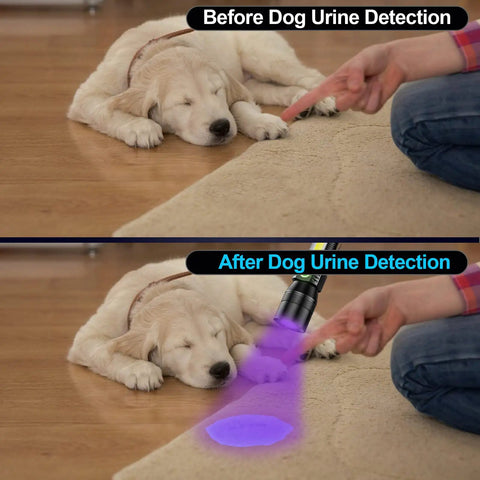 Rechargeable UV Black Light Flashlight 2 Pack 3 In 1 Ultra Bright Pocket Lights With 1200 Lumens Magnetic Waterproof 7 Modes detecting pet urine on carpet