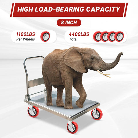 8 Inch Polyurethane Caster Wheel With Polyolefin Core, Double Ball Bearing, Dust Cover, Half Inch Bore, elephant on cart